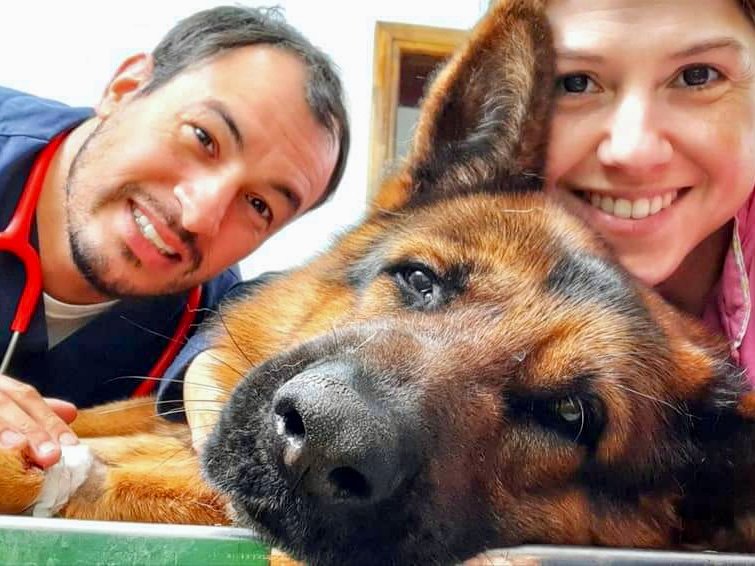Clinica Veterinaria Salvatore
