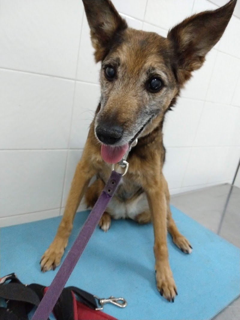 Consultorio Veterinario Dres. Barbenza