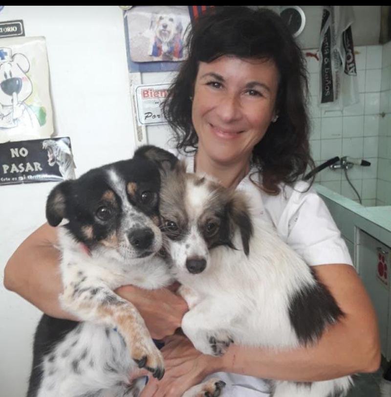 CLÍNICA VETERINARIA Selva