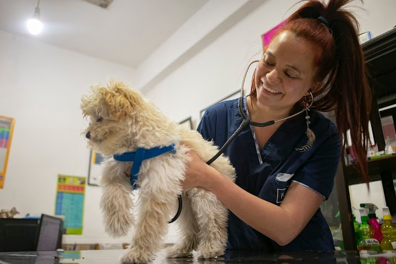 Veterinaria y Pet Shop "Los Canarios de Balvanera" - Asociación Argentina de Canaricultura Roller