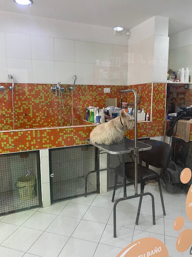 Mimados - Clínica Veterinaria - Internación - Radiografías - Peluquería - Academia Peluqueros