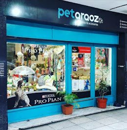 Pet Araoz