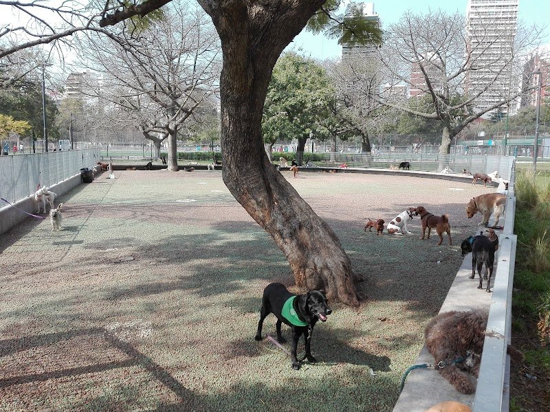 Plaza para perros