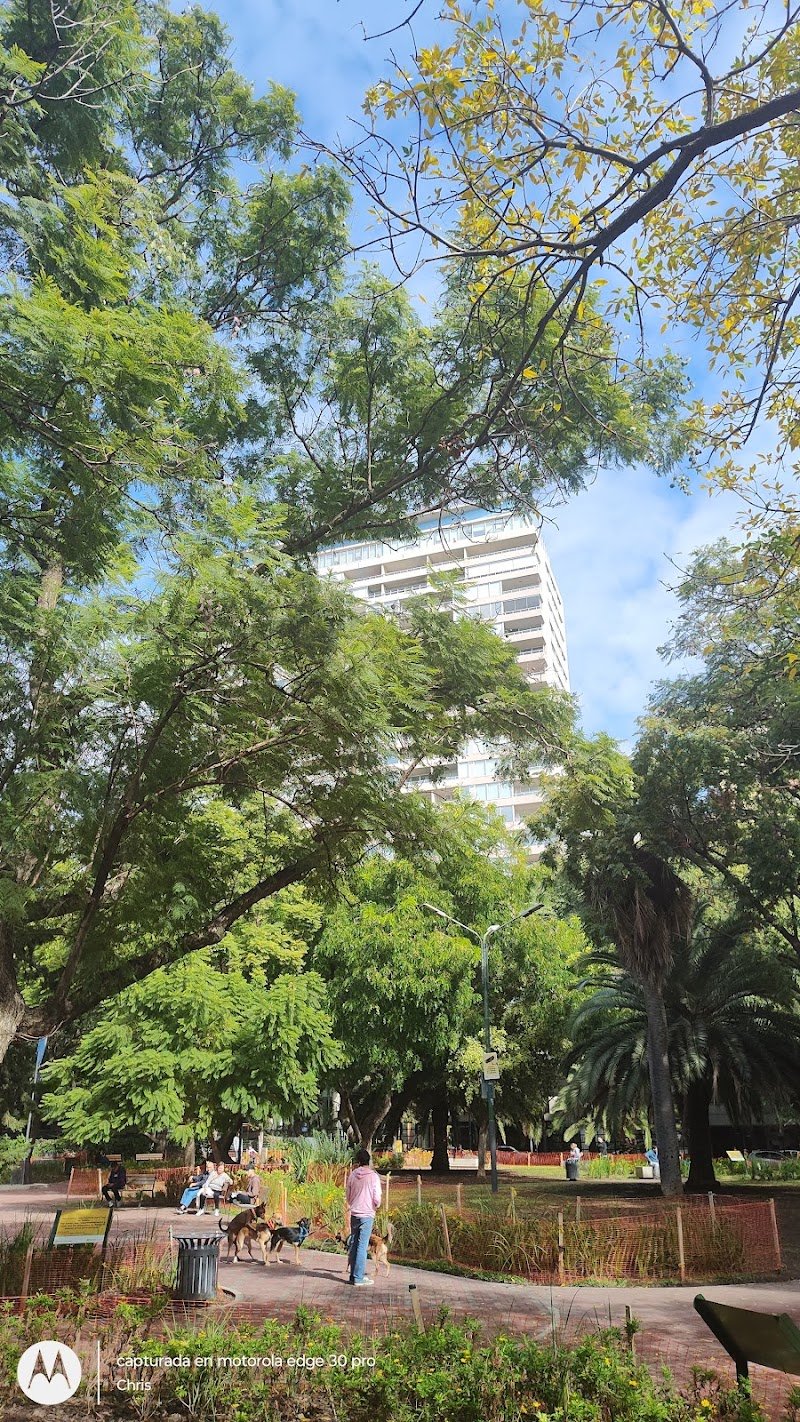 Canil - Plaza Alberti