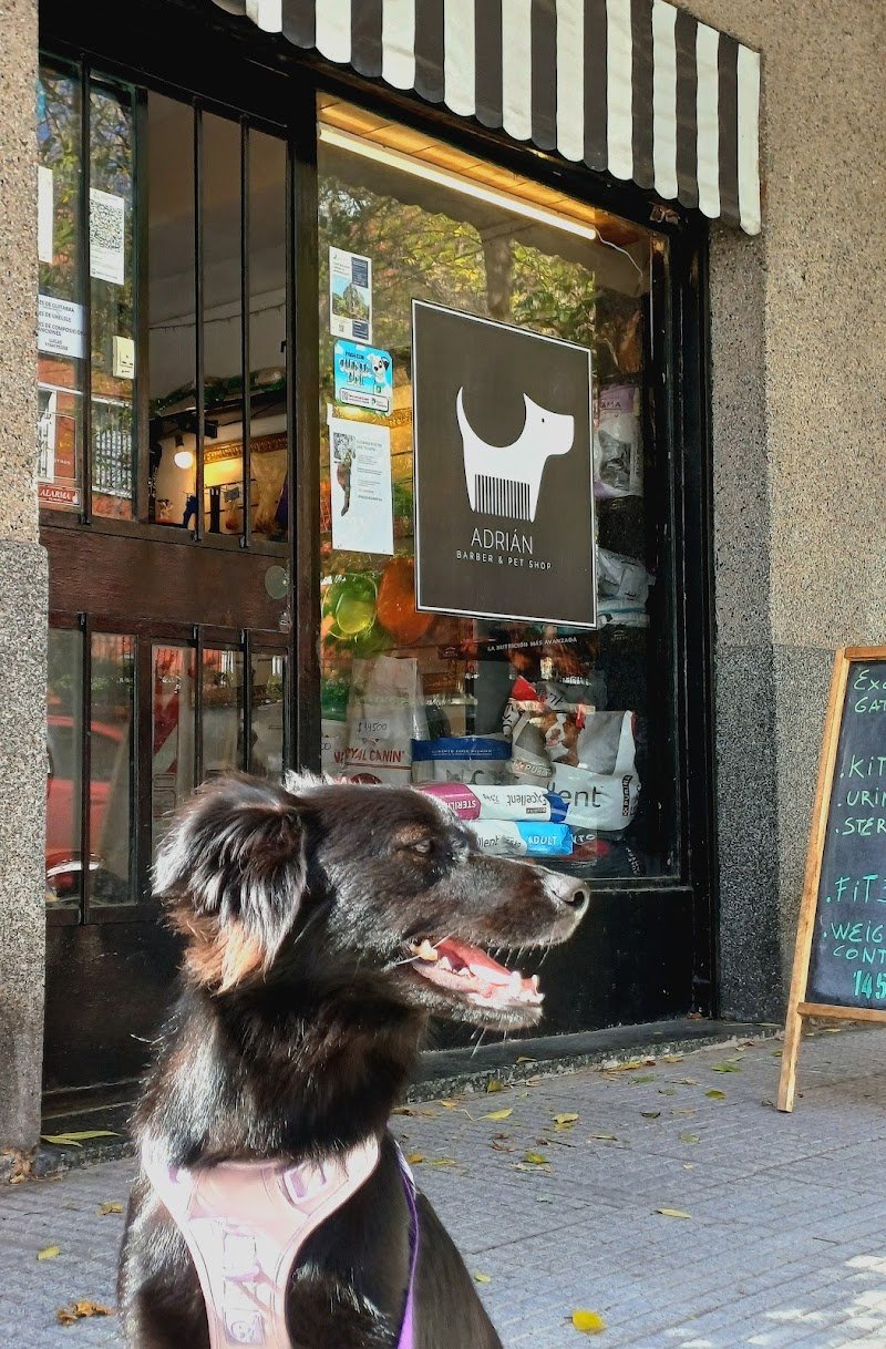 Adrian Peluqueria Canina y Pet Shop
