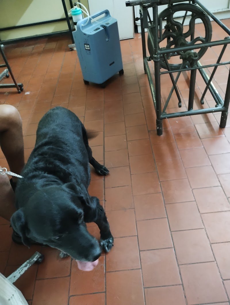 Hospital Veterinario Lanús