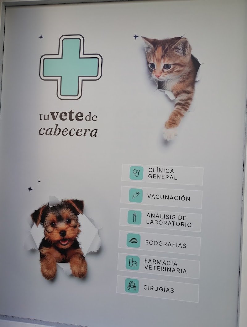 Veterinaria Mon Trésor