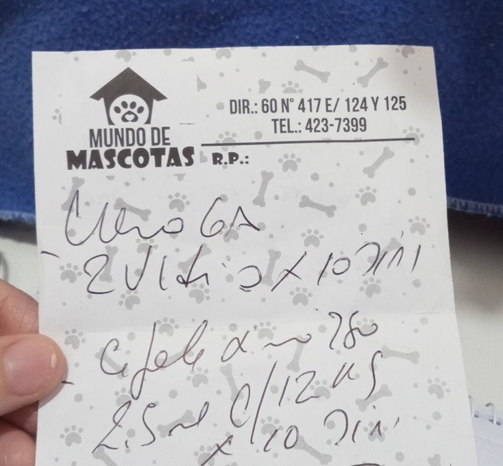 Mundo de Mascotas