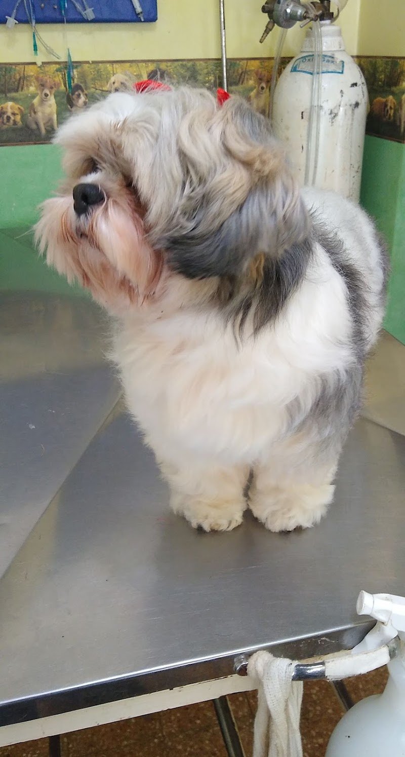 Consultorio Veterinario