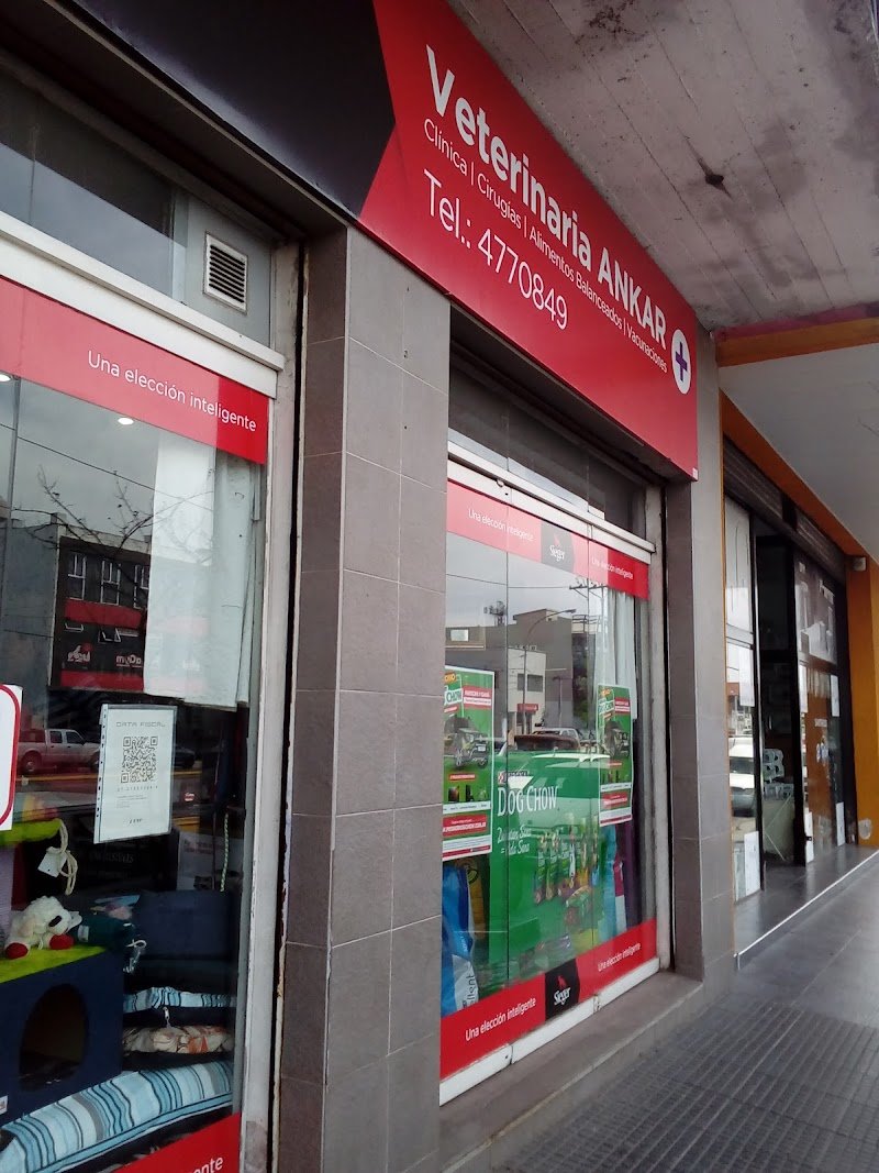 Peluqueria Canina Ankar