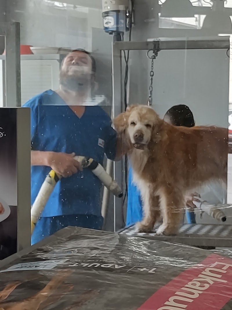 Punto Mascotas Veterinaria