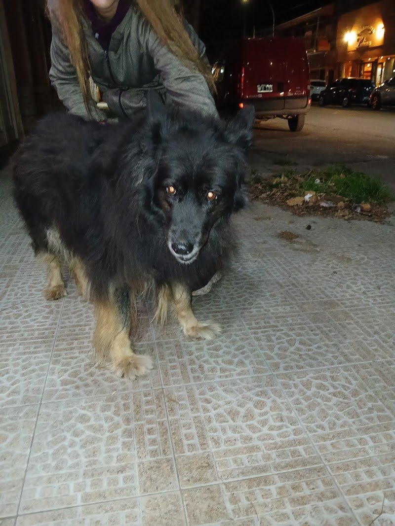 Veterinaria Dr. Martín
