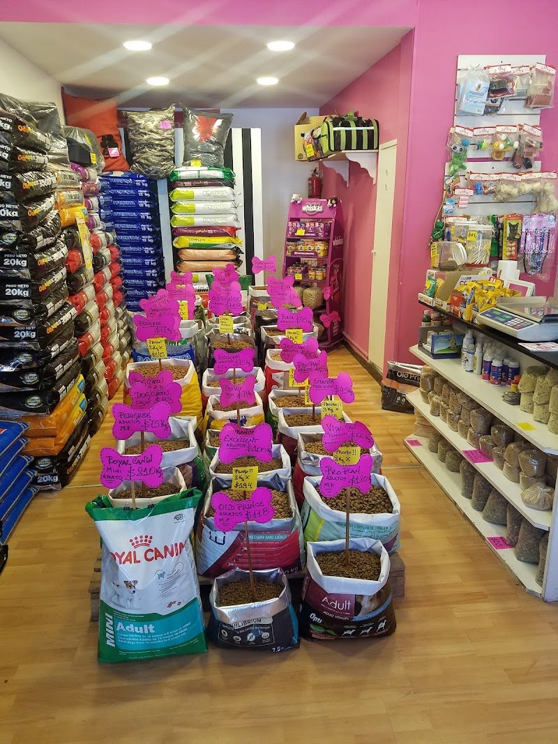 Lo de Lola Pet Shop
