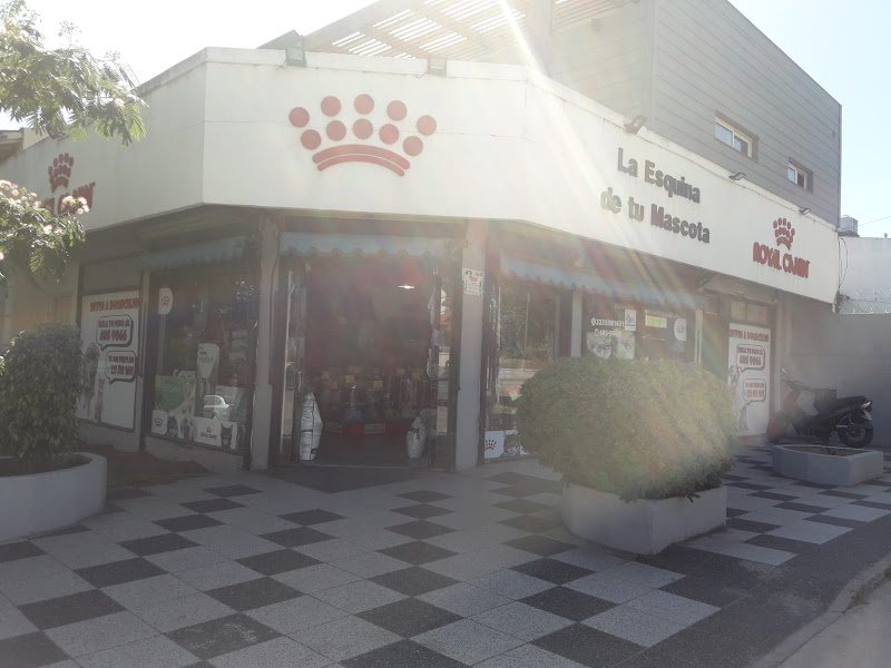 LA ESQUINA DE TU MASCOTA