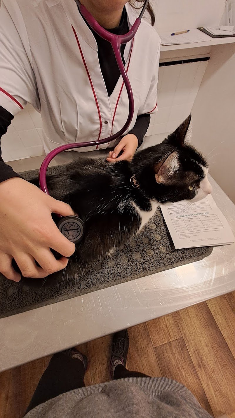 Hospital Veterinario de Especialidades Pueyrredon