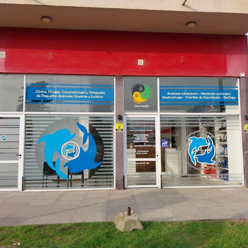 Consultorio Veterinario Villa Gesell
