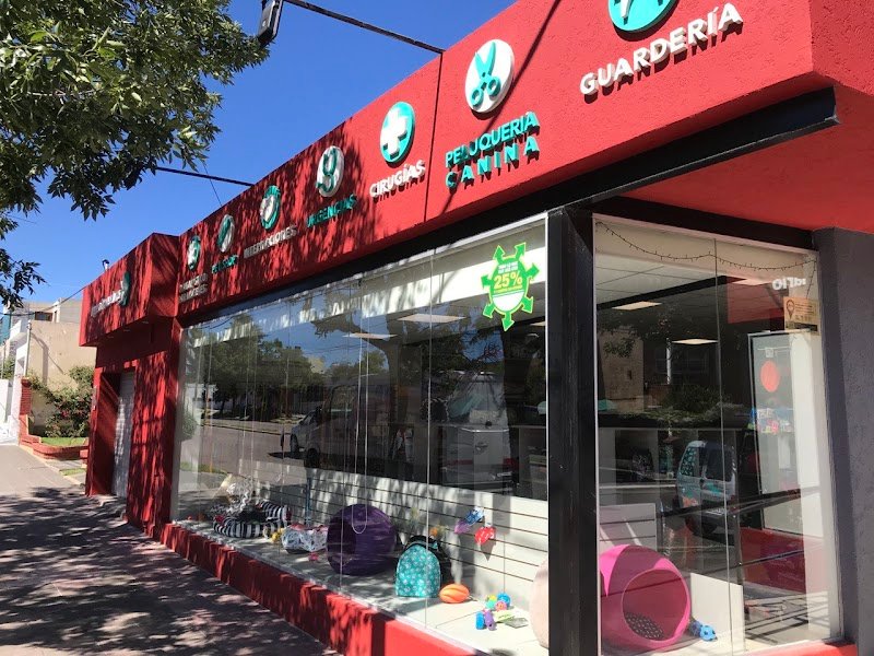 Veterinaria Zoovet