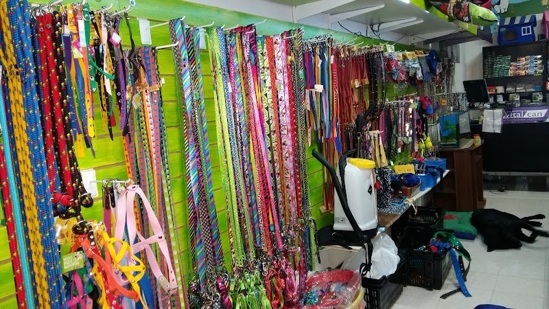 Full Mascotas Veterinaria
