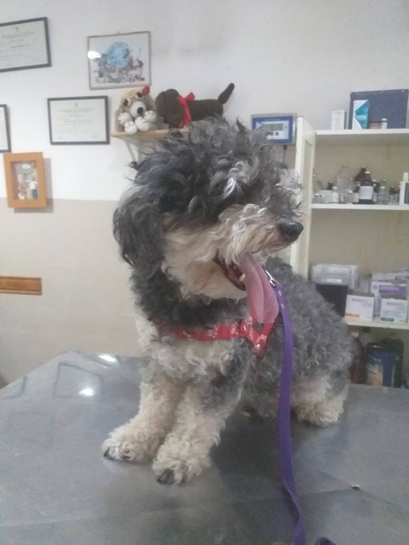 Bicho's Clínica Veterinaria