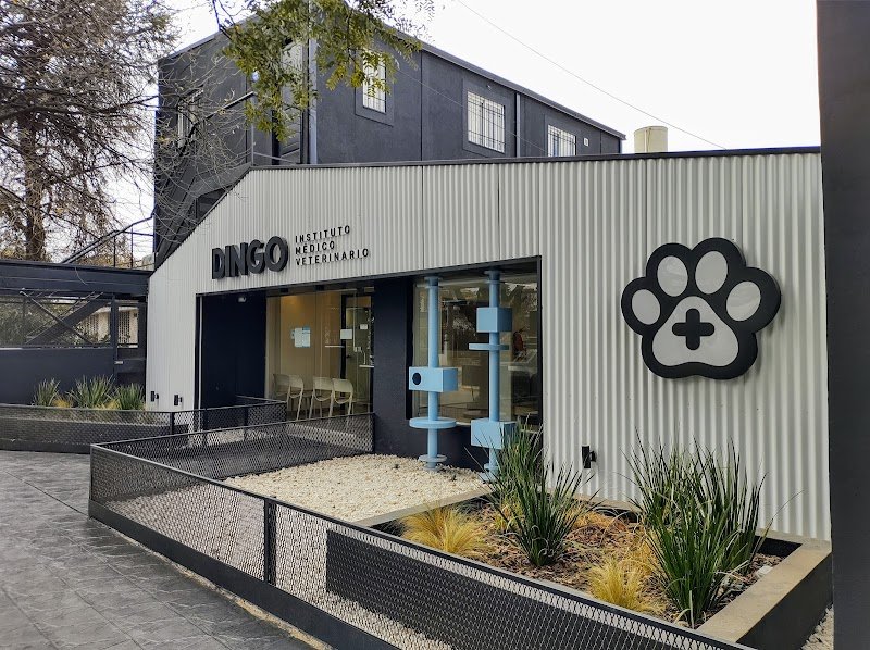 Dingo Instituto Médico Veterinario