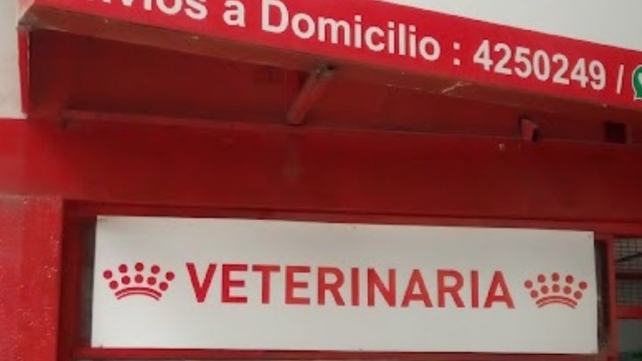 Mundo Animal