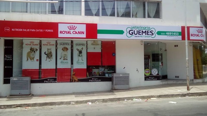 veterinaria 𝗚𝗨̈𝗘𝗠𝗘𝗦