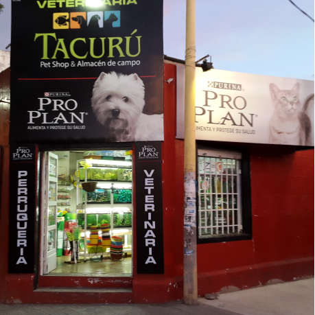TACURU