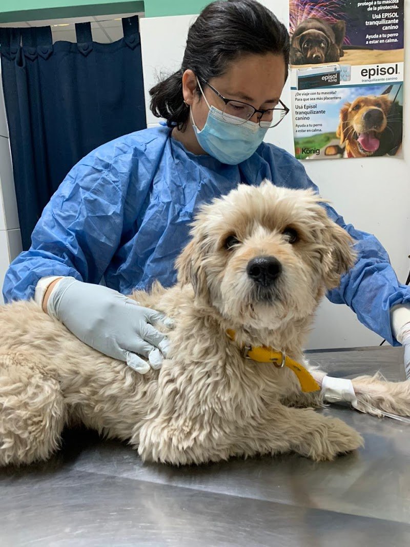 Clínica Veterinaria García López