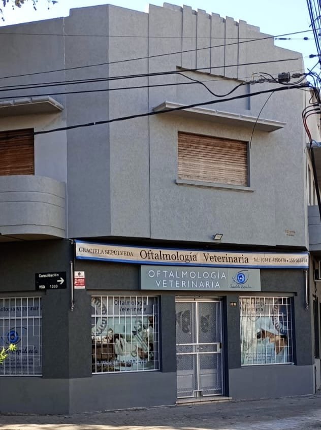 Oftalmología Veterinaria Graciela Sepúlveda