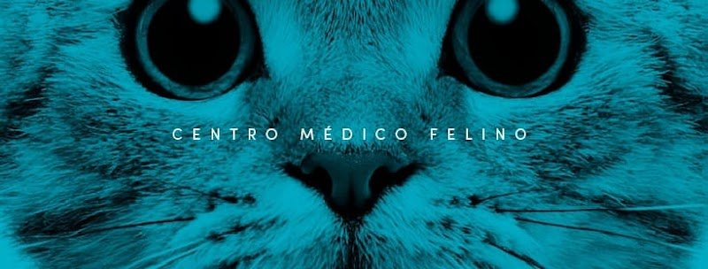 Centro Médico Felino