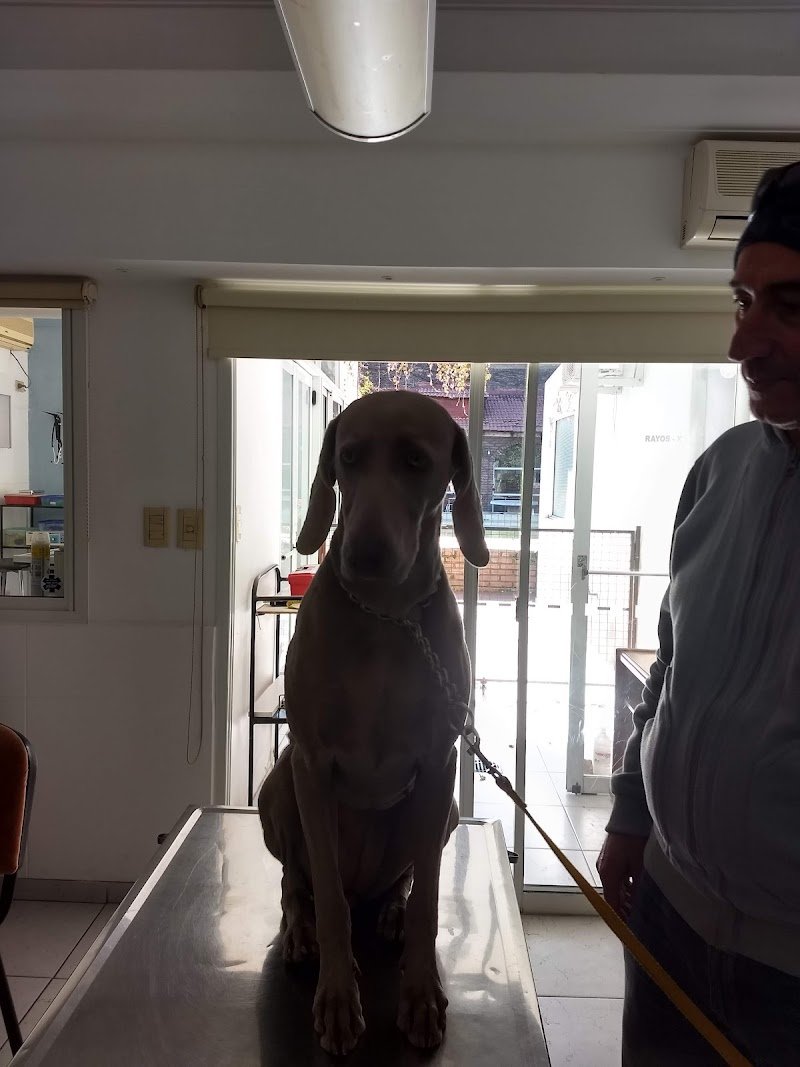 Centro Médico Veterinario Dr. Alejandro Simoniello.