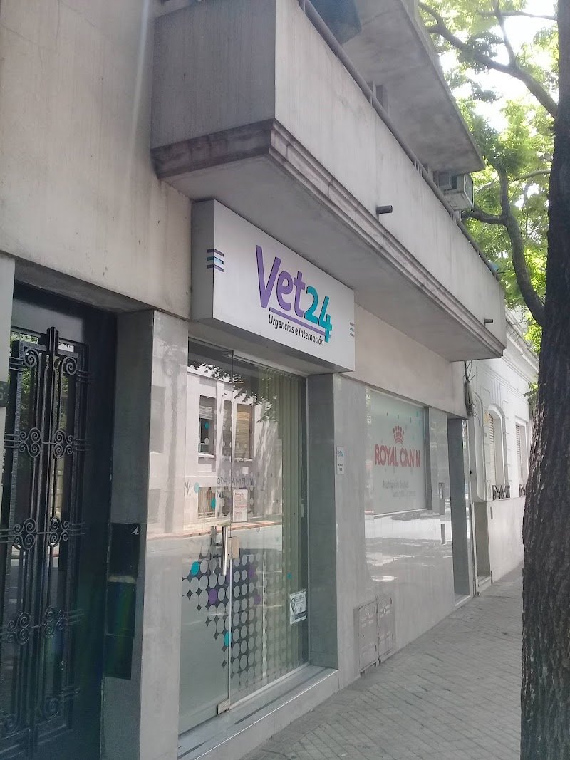 Vet 24.