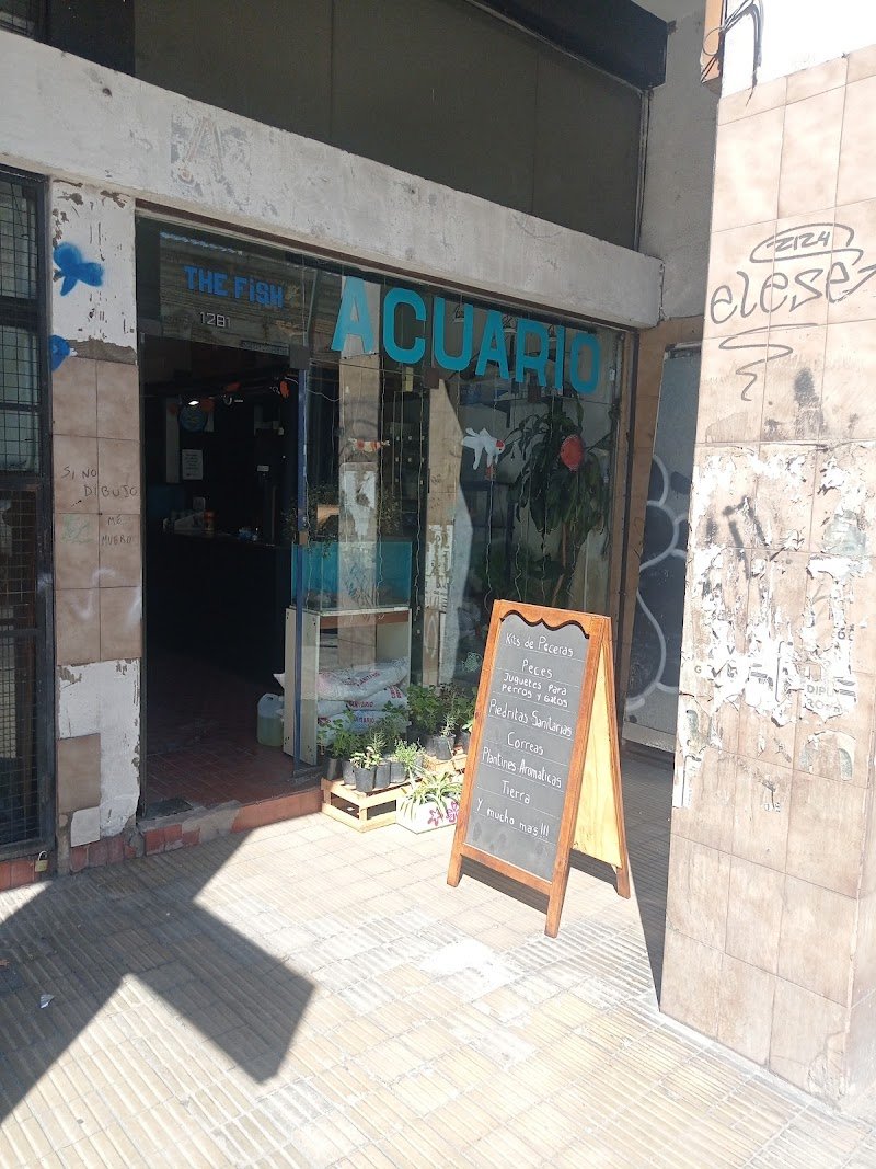 Acuario The Fish +