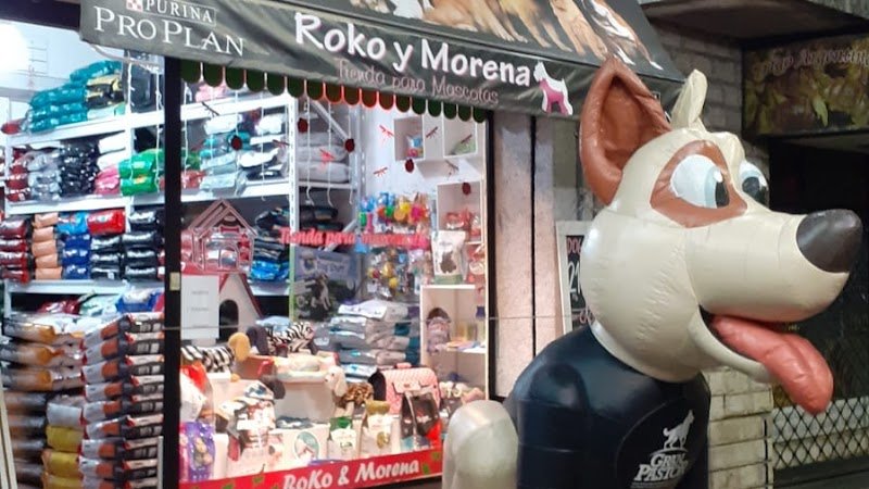 Roko y Morena