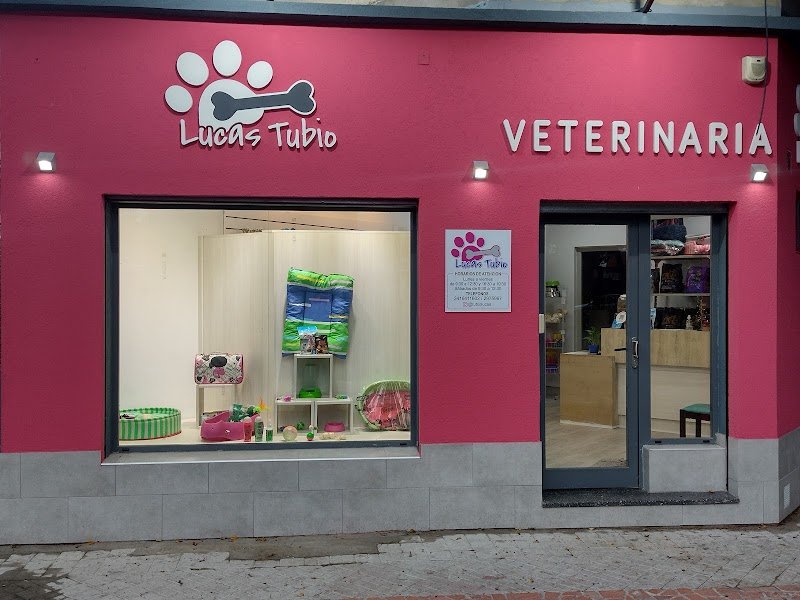 Veterinaria Lucas Tubio Consultorio Veterinario