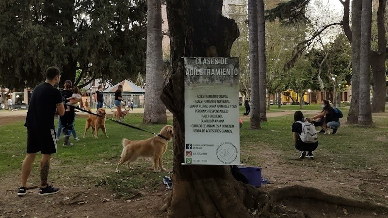 APR SERVICIOS INTEGRALES PARA ANIMALES