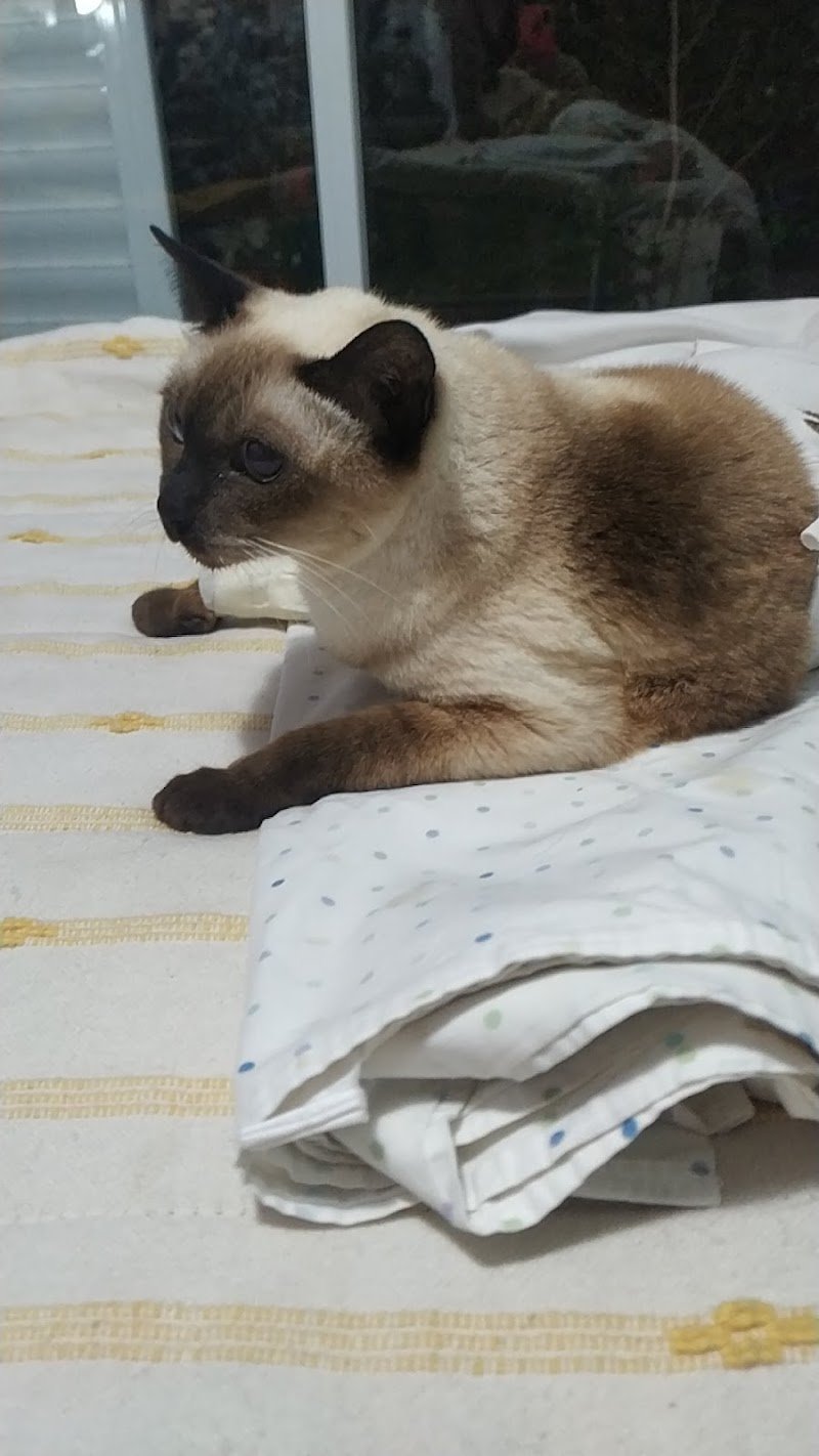Nueva Veterinaria Las Colonias