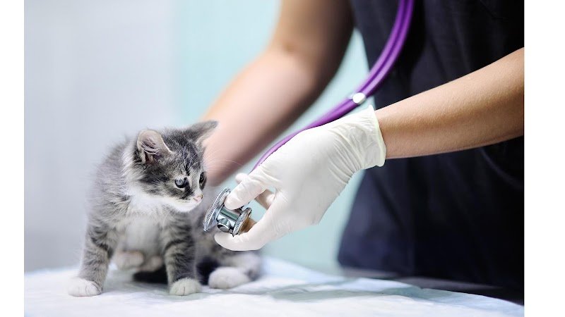 Clínica Veterinaria Gastaldi