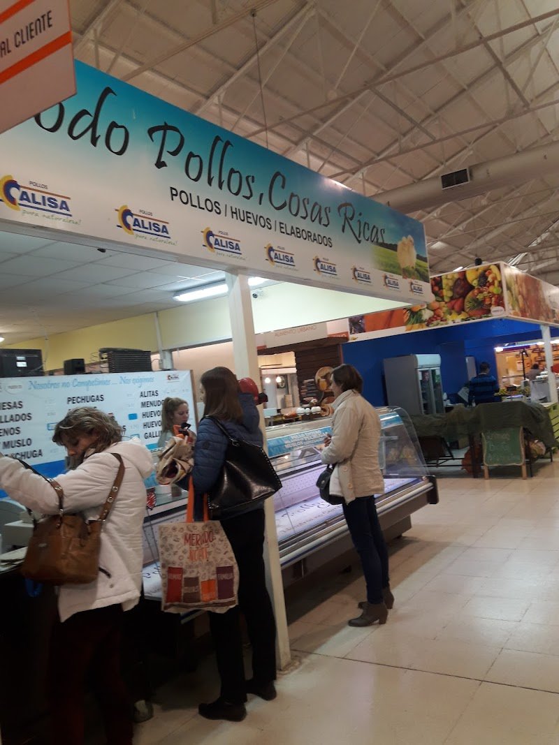 Todo Pollos