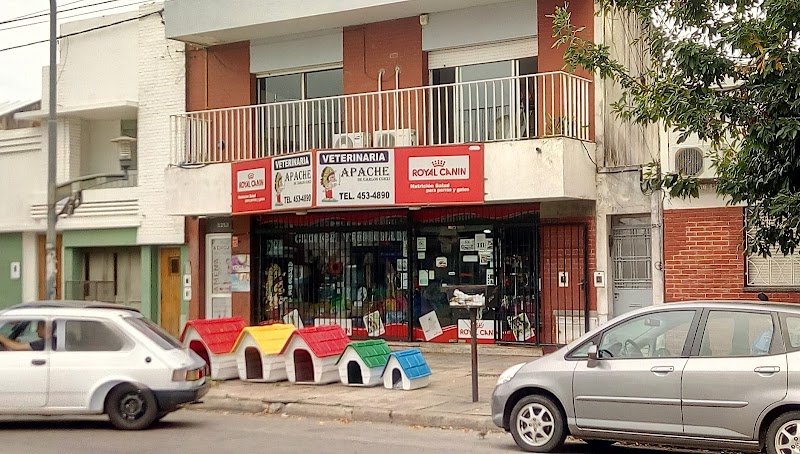 Veterinaria Apache