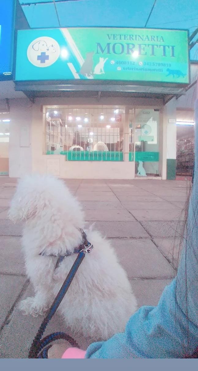 Veterinaria Moretti