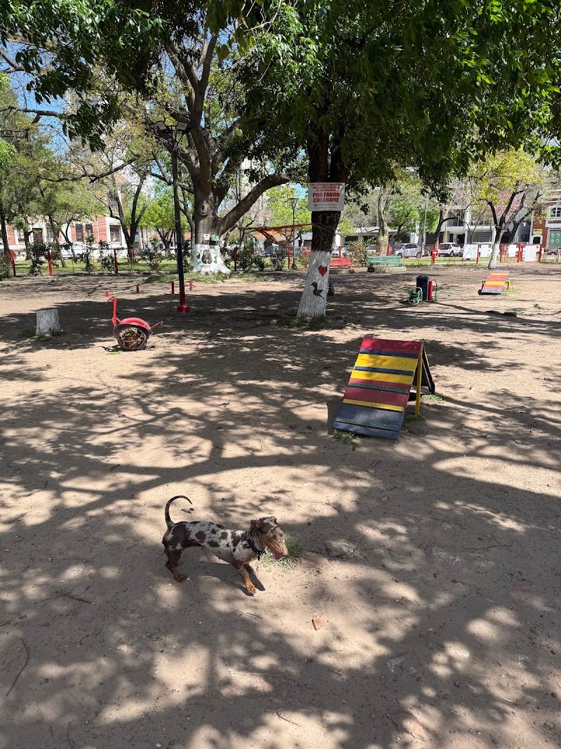 Espacio canino "Josefina y sus amigos"