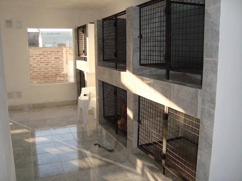 Veterinaria Bienestar Animal