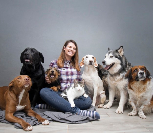 Pet Land Veterinaria