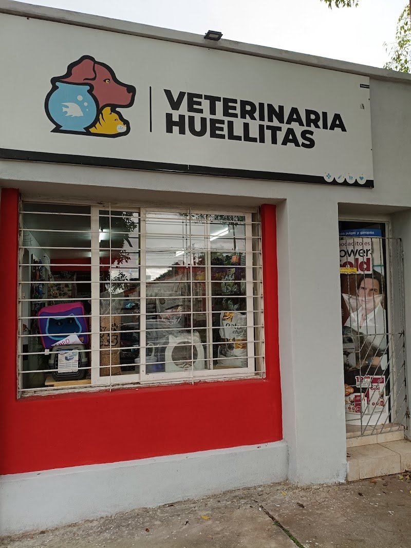 Veterinaria huellitas