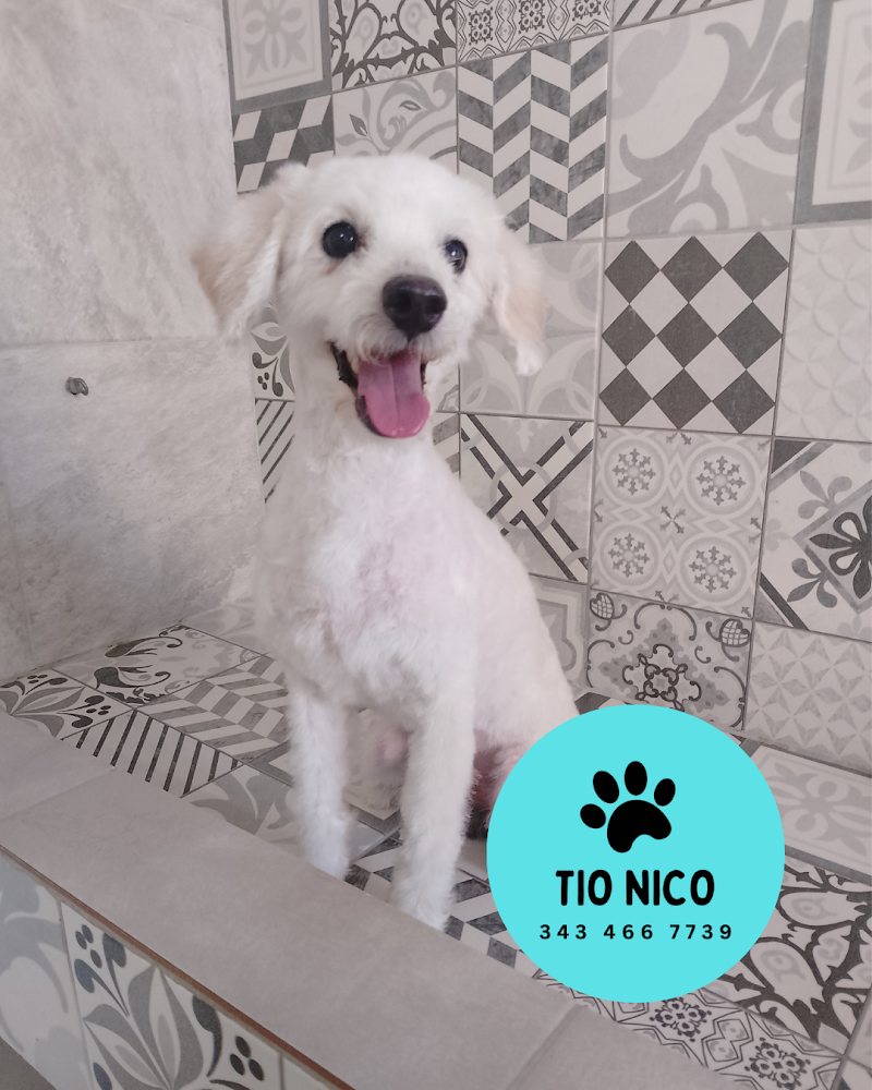 Estetica canina Tio Nico