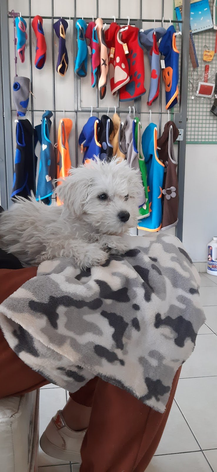 TELTECA Clínica Veterinaria
