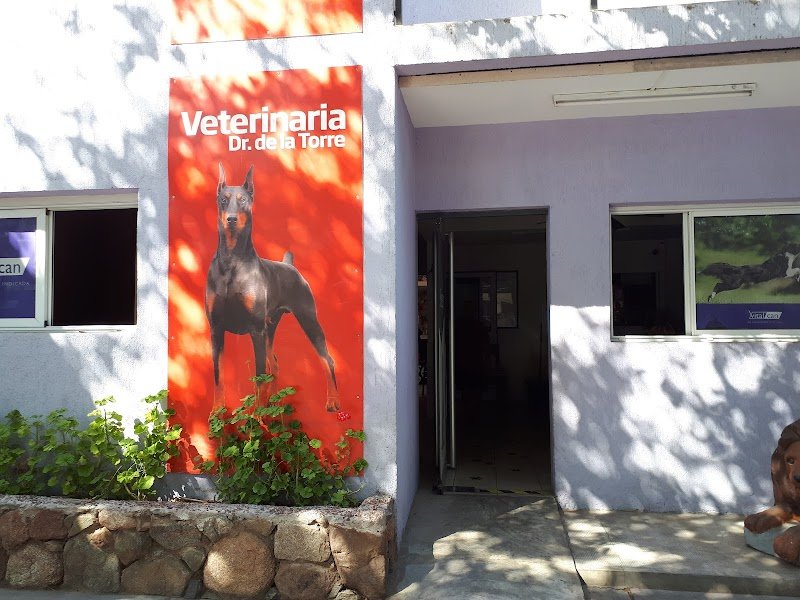 Veterinaria Dr. de la Torre