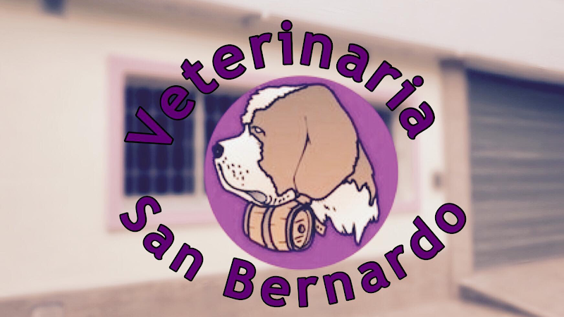 Veterinaria San Bernardo