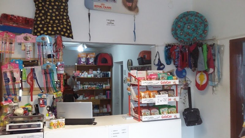 CLINICA VETERINARIA MAIPU